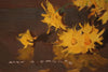 Alan Douglas Baker (1914-1987) Large Original Oil on Board 'Daisies' 19cm x 34.5cm