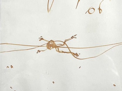 John Olsen (1928-2023) Original Signed Drawing on Paper 'Tree Frog' 20cm x 25cm