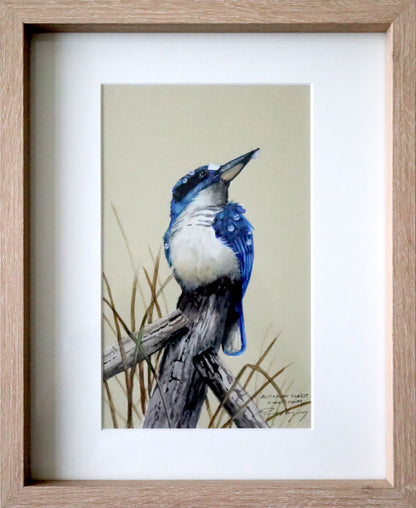 Paul Margocsy (1945 - ) Original Watercolour Painting on Card 'Australian Forest Kingfisher' 26cm x 15.5cm