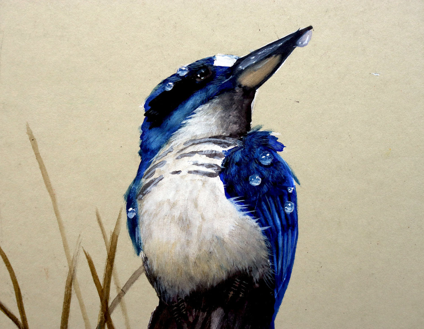 Paul Margocsy (1945 - ) Original Watercolour Painting on Card 'Australian Forest Kingfisher' 26cm x 15.5cm