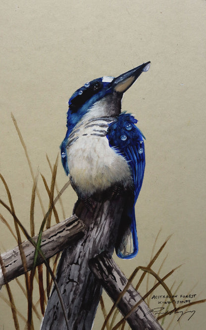 Paul Margocsy (1945 - ) Original Watercolour Painting on Card 'Australian Forest Kingfisher' 26cm x 15.5cm