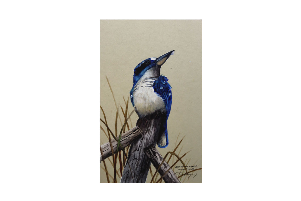 Paul Margocsy (1945 - ) Original Watercolour Painting on Card 'Australian Forest Kingfisher' 26cm x 15.5cm