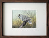 Paul Margocsy (1945 - ) Original Watercolour Painting on Card U.S. Snowy Owl 14.5cm x 19cm