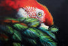 Paul Margocsy (1945 - ) Large Original Watercolour Painting 'South American Scarlet Macaw' 35cm x 35cm