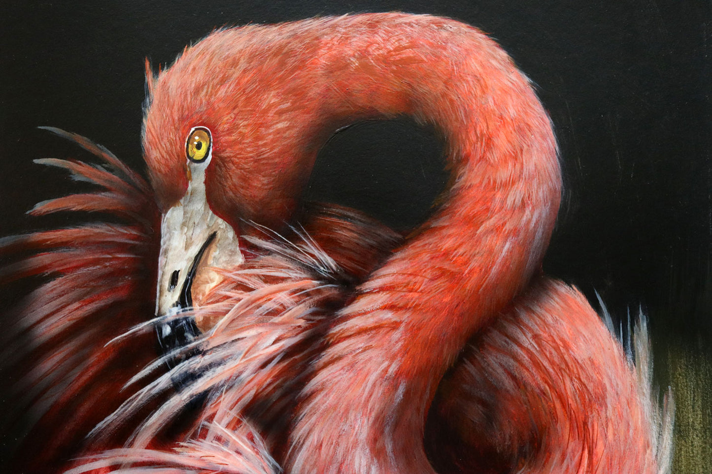 Paul Margocsy (1945 - ) Large Original Watercolour Painting 'South American Flamingo' 39.5cm x 29.5cm