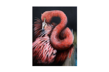 Paul Margocsy (1945 - ) Large Original Watercolour Painting 'South American Flamingo' 39.5cm x 29.5cm