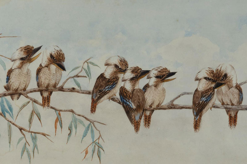 Alice Cayley (1889-1960) Original Watercolour 'Kookaburra' 15.5cm x 30cm