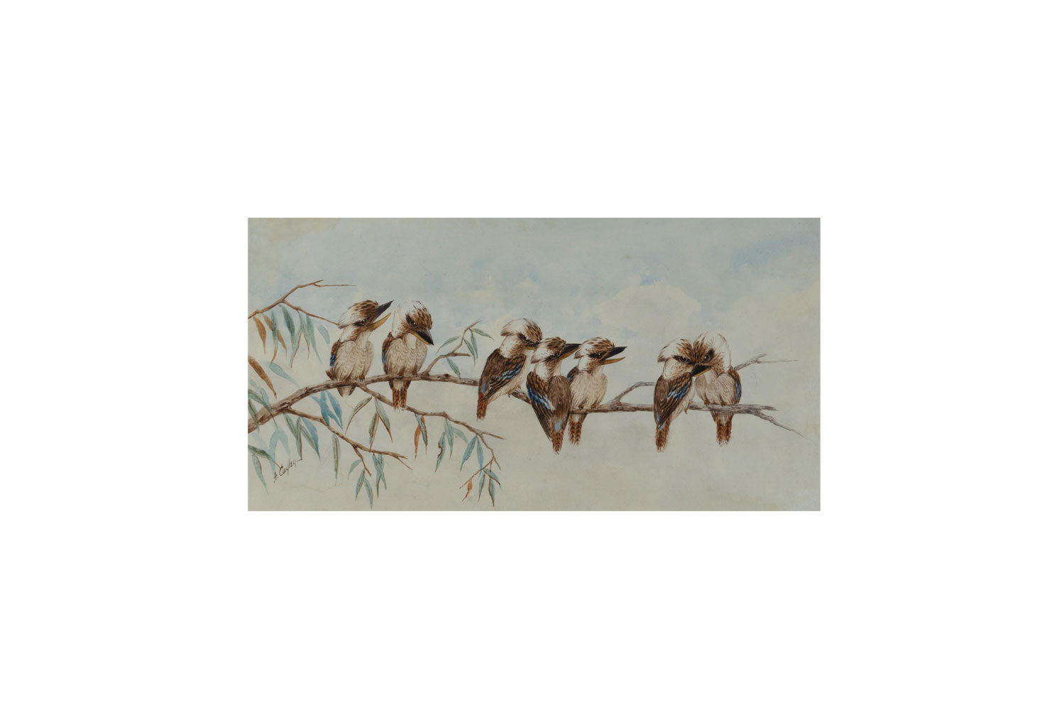 Alice Cayley (1889-1960) Original Watercolour 'Kookaburra' 15.5cm x 30cm