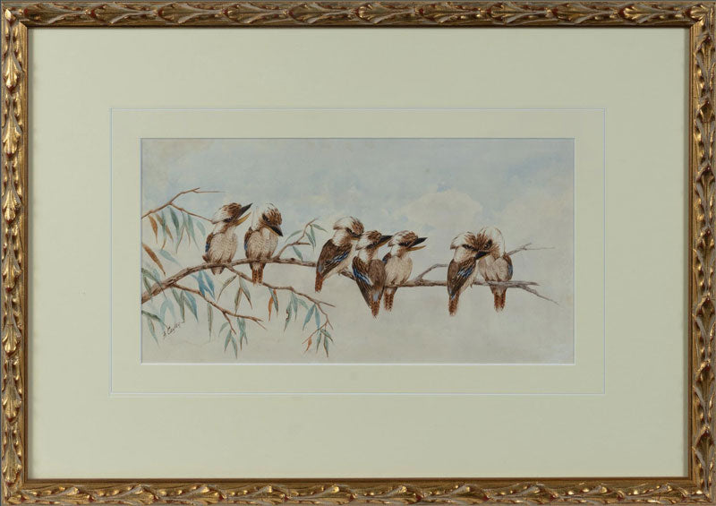 Alice Cayley (1889-1960) Original Watercolour 'Kookaburra' 15.5cm x 30cm