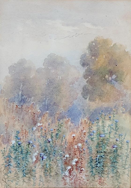 Ellis Rowan (1848-1922) - Original Watercolour Painting - Thistles 27cm x 19cm