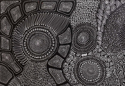 Freda Price Pitjara (Petyarre) Large Original Acrylic Painting on Canvas 103cm x 149cm