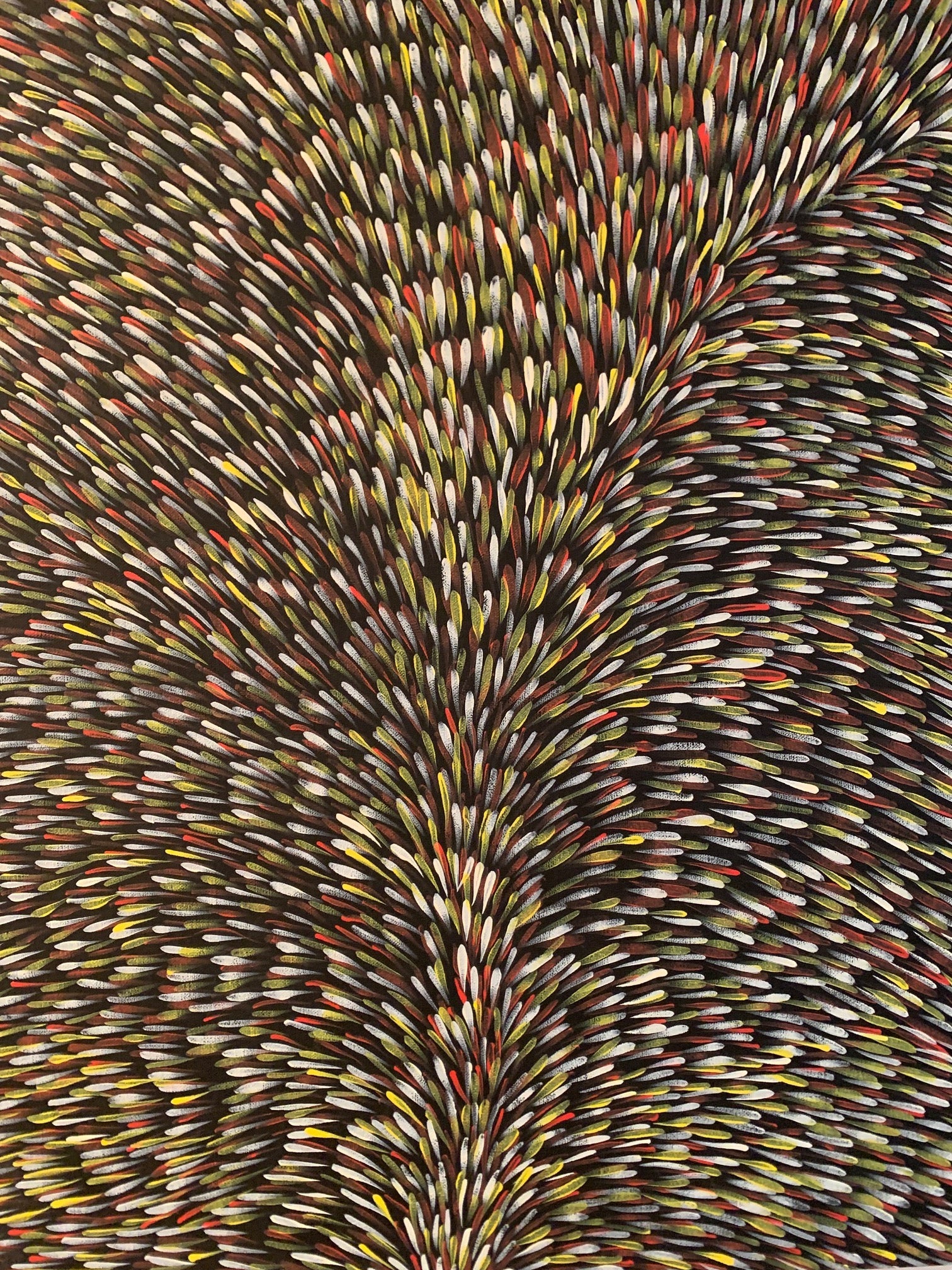 Gloria Tamerre Petyarre - Original Painting - 'Bush Medicine Leaves' - 100cm x 90cm Stretched