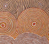 Gloria Tamerre Petyarre - Original Aboriginal Painting - 'Bush Medicine Leaves' 133cm x 128cm Stretched