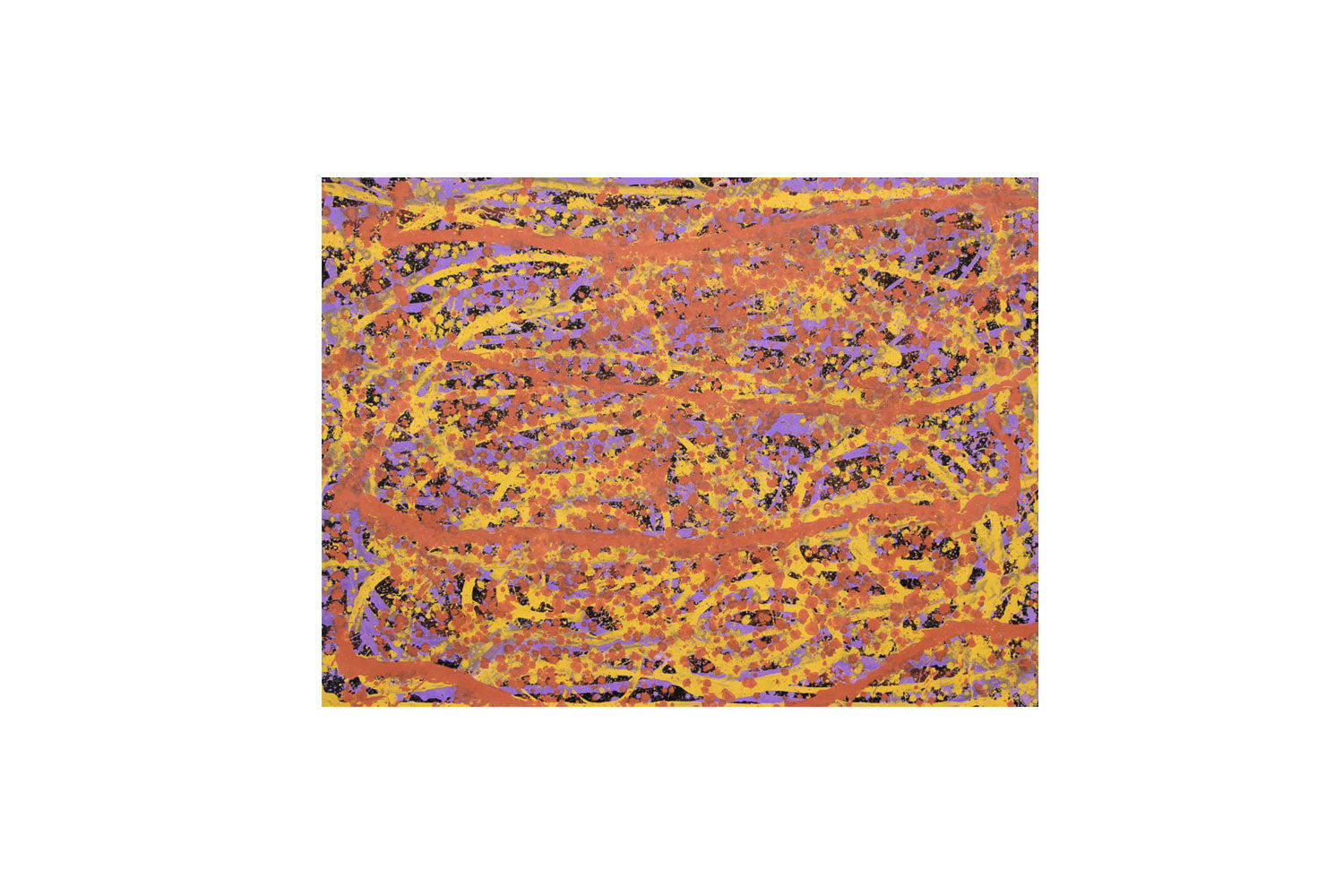 Gloria Tamerre Petyarre - Original Aboriginal Painting - 'Aknangkere Growth' 120cm x 90cm Stretched