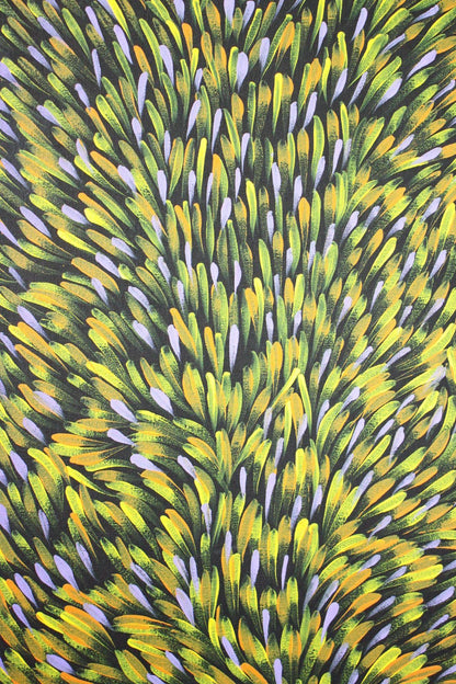 Gloria Tamerre Petyarre - Original Aboriginal Painting - 'Bush Medicine Leaves' 95cm x 48cm Stretched