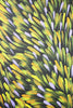 Gloria Tamerre Petyarre - Original Aboriginal Painting - 'Bush Medicine Leaves' 95cm x 48cm Stretched