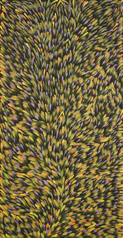 Gloria Tamerre Petyarre - Original Aboriginal Painting - 'Bush Medicine Leaves' 95cm x 48cm Stretched