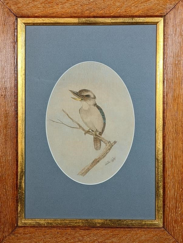 Neville Henry Cayley (1853-1903) Original Watercolour 'Kookaburra' 53cm x 29cm